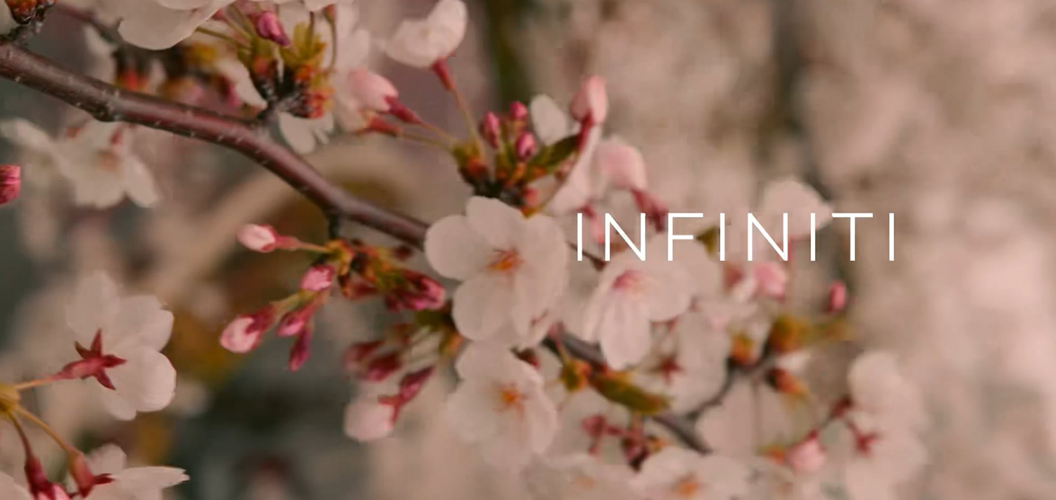 Spring Opportunity